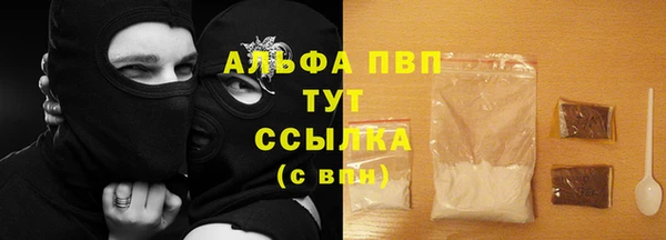 крисы Алексин