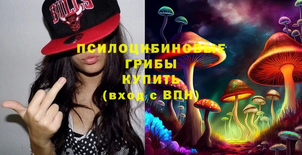 бошки Алзамай