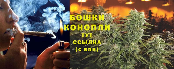 бошки Алзамай